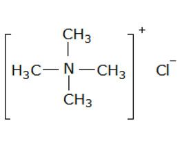 四甲基氯化铵，99%